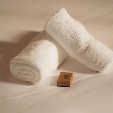 Montera Centre Avec Piscine Chauffee Et Jardin *