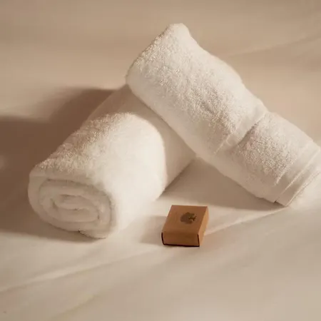 Montera Centre Avec Piscine Chauffee Et Jardin Διαμέρισμα