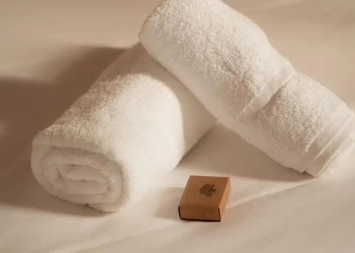 Montera Centre Avec Piscine Chauffee Et Jardin Daire