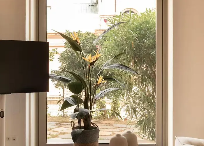 아파트 Montera Centre Avec Piscine Chauffee Et Jardin 바스티아