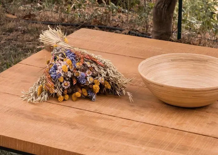 Montera Centre Avec Piscine Chauffee Et Jardin Bastia (Corsica)